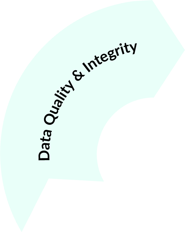 Data Quality & Integrity FinCoPilot-circle-seg1.png